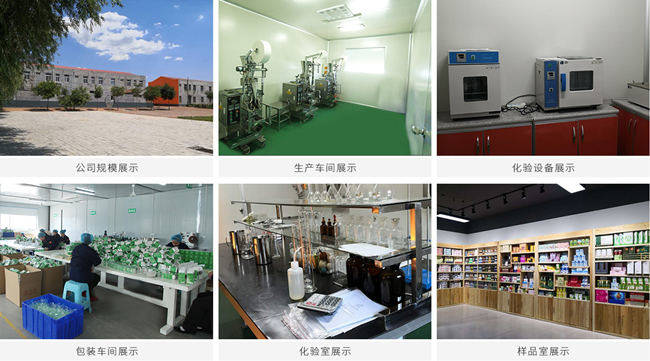 代加工项目中的食品技术研发 从
