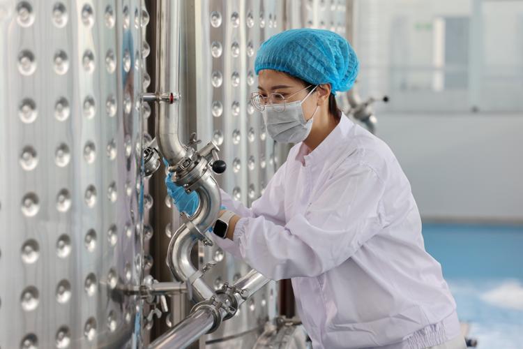 黑枣飘香 创新赋能——探访乐陵市健康食品研发企业黑枣酒发酵中试车间